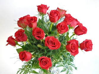 18 Red Roses Upper Darby Polites Florist, Springfield Polites Florist