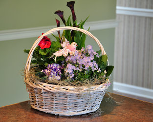 English Garden Basket Upper Darby Polites Florist, Springfield Polites Florist