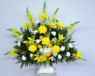 Funeral Basket - Yellow and White Upper Darby Polites Florist, Springfield Polites Florist