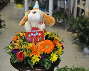 It’s Your Birthday - Singing Pup Upper Darby Polites Florist, Springfield Polites Florist