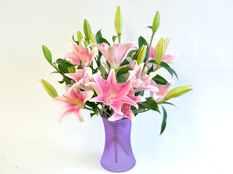 Oasis of Lilies - Price Special Upper Darby Polites Florist, Springfield Polites Florist