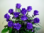 A Dozen Purple Roses Upper Darby Polites Florist, Springfield Polites Florist