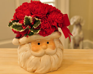 Santa's Hat Upper Darby Polites Florist, Springfield Polites Florist