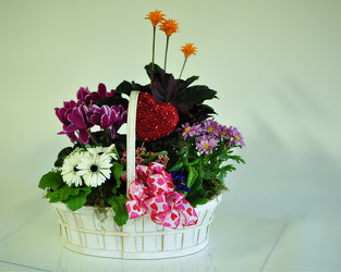 Valentine Blooming Plant Basket Upper Darby Polites Florist, Springfield Polites Florist