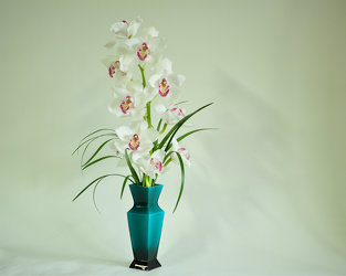 White Orchid Spray Upper Darby Polites Florist, Springfield Polites Florist