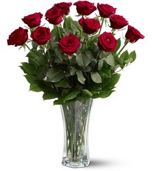 A Dozen Long Stem Red Roses