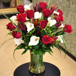 Red Roses and Calla Lilies Upper Darby Polites Florist, Springfield Polites Florist