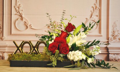 XOXO Upper Darby Polites Florist, Springfield Polites Florist