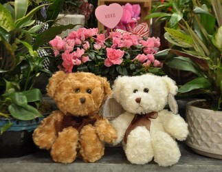 Valentine's Plush Love Cubs Upper Darby Polites Florist, Springfield Polites Florist
