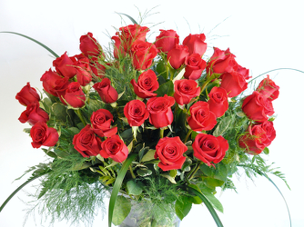 50 Red Roses Upper Darby Polites Florist, Springfield Polites Florist