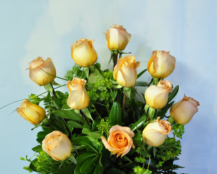 A Dozen Peach Roses Upper Darby Polites Florist, Springfield Polites Florist