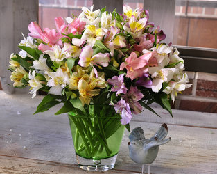 Alstroemeria Vased  Upper Darby Polites Florist, Springfield Polites Florist