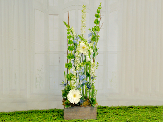 Amish Farm Upper Darby Polites Florist, Springfield Polites Florist