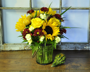 Autumn Breeze Upper Darby Polites Florist, Springfield Polites Florist