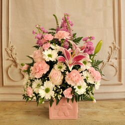 Baby Girl Block Upper Darby Polites Florist, Springfield Polites Florist