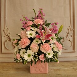 New Arrival: Girl Edition Upper Darby Polites Florist, Springfield Polites Florist