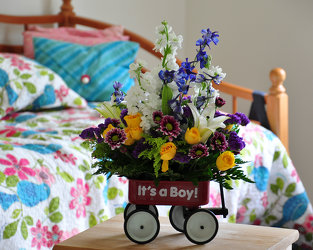 Baby Boy Wagon Upper Darby Polites Florist, Springfield Polites Florist