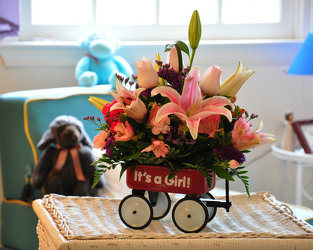 Baby Girl Wagon Upper Darby Polites Florist, Springfield Polites Florist