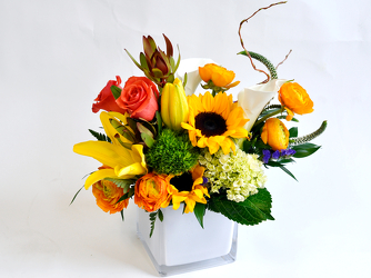 Barcelona Upper Darby Polites Florist, Springfield Polites Florist