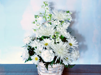 Beautiful Blessings Upper Darby Polites Florist, Springfield Polites Florist