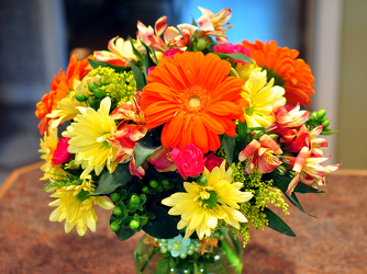 Because Upper Darby Polites Florist, Springfield Polites Florist