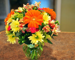 Because Upper Darby Polites Florist, Springfield Polites Florist