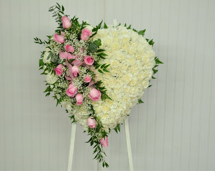 Bleeding Heart-Pink and White Upper Darby Polites Florist, Springfield Polites Florist
