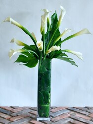 Calla Lily Bouquet Upper Darby Polites Florist, Springfield Polites Florist