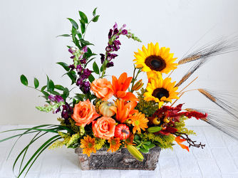 Campfire Cardigan Upper Darby Polites Florist, Springfield Polites Florist
