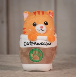 Catpawccino Upper Darby Polites Florist, Springfield Polites Florist