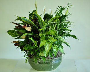 Life's a Garden Upper Darby Polites Florist, Springfield Polites Florist
