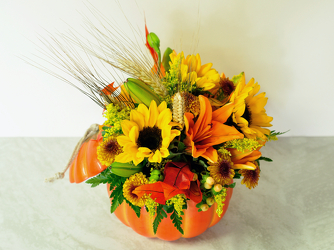 Ceramic Pumpkin Upper Darby Polites Florist, Springfield Polites Florist