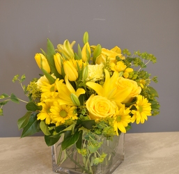 Citrus Sun Upper Darby Polites Florist, Springfield Polites Florist