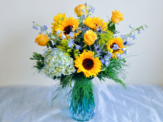 Coastal Charm Upper Darby Polites Florist, Springfield Polites Florist