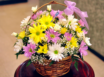 Colorful Daisy Basket Upper Darby Polites Florist, Springfield Polites Florist