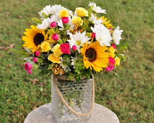 Country Life Upper Darby Polites Florist, Springfield Polites Florist