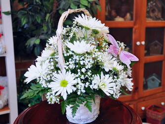 Daisy Basket Upper Darby Polites Florist, Springfield Polites Florist