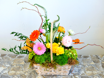 Day Dream Beauty Upper Darby Polites Florist, Springfield Polites Florist