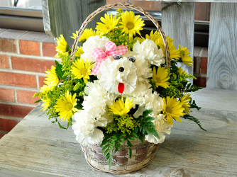 Dog Gone Cute Upper Darby Polites Florist, Springfield Polites Florist