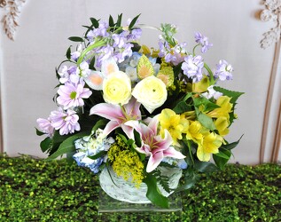 Pastel Dream Easter Basket Upper Darby Polites Florist, Springfield Polites Florist