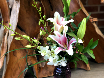 Effortless Upper Darby Polites Florist, Springfield Polites Florist