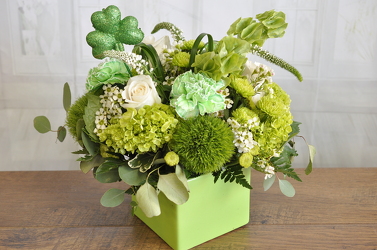 Erin Go Bragh Upper Darby Polites Florist, Springfield Polites Florist
