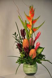 Tropical Escape Upper Darby Polites Florist, Springfield Polites Florist