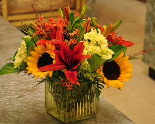 Fall Splendor Upper Darby Polites Florist, Springfield Polites Florist