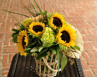 Farmhouse Upper Darby Polites Florist, Springfield Polites Florist