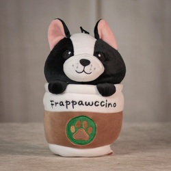 Frappawccino Upper Darby Polites Florist, Springfield Polites Florist