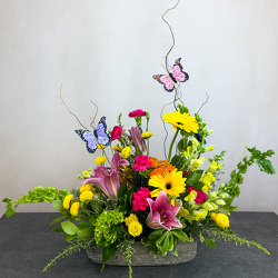 Garden Sonata Upper Darby Polites Florist, Springfield Polites Florist