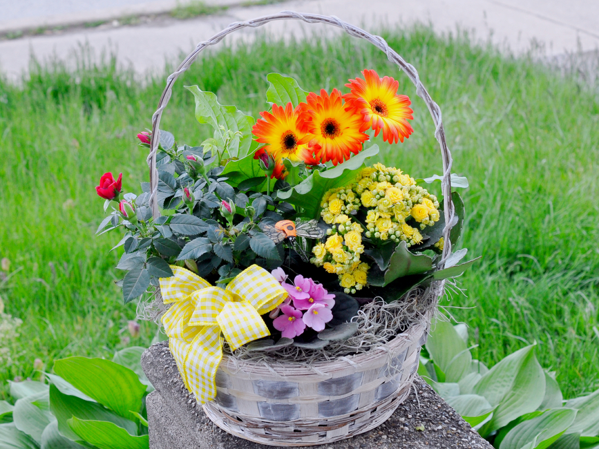 Blooming Garden Plant Basket