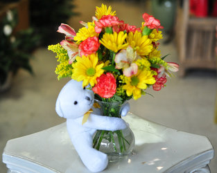 Beary Huggable Upper Darby Polites Florist, Springfield Polites Florist