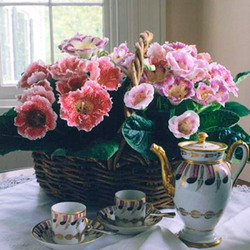 Gloxinia Upper Darby Polites Florist, Springfield Polites Florist